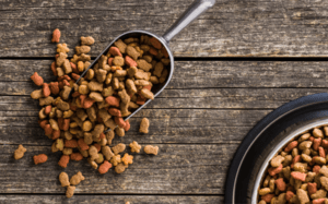 Mercado de Fibras Naturais com Foco em Nutrição Animal