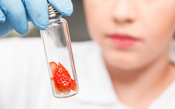 Conheça o processo da Vogler para garantir a segurança no desenvolvimento de produtos Conheça o processo da Vogler para garantir a segurança no desenvolvimento de produtos