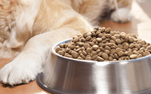 Pet Food: aditivos conservantes na formulação de alimentos